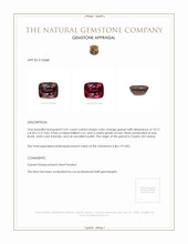 4.41 Ct. Garnet from Ceylon (Sri Lanka) Appraisal