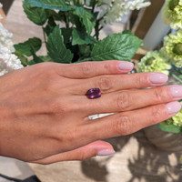4.41 Ct. Garnet from Ceylon (Sri Lanka) Life Style