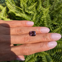 4.41 Ct. Garnet from Ceylon (Sri Lanka) Life Style