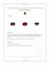 1.17 Ct. Garnet from Ceylon (Sri Lanka) Appraisal