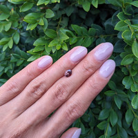 1.17 Ct. Garnet from Ceylon (Sri Lanka) Life Style