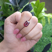 4.76 Ct. Garnet from Ceylon (Sri Lanka) Life Style