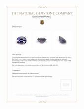 3.55 Ct. Tanzanite from Tanzania Appraisal