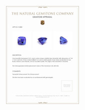 2.81 Ct. Violetish Blue Tanzanite from Tanzania Appraisal
