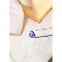 2.96 Ct. Tanzanite from Tanzania Life Style