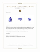 3.49 Ct. Tanzanite from Tanzania Appraisal