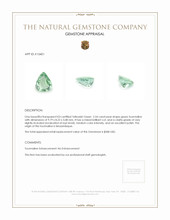 2.54 Ct. Green Tourmaline from Mozambique Appraisal