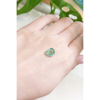 2.54 Ct. Tourmaline from Mozambique Life Style