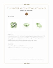 1.91 Ct. Green Grossular Garnet from Madagascar Appraisal