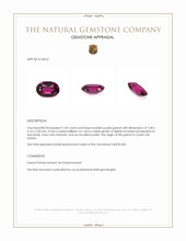 1.05 Ct. Reddish Purple Garnet from Ceylon (Sri Lanka) Appraisal