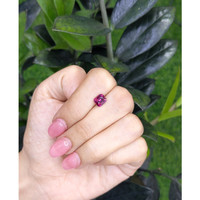1.68 Ct. Garnet from Ceylon (Sri Lanka) Life Style