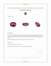 1.94 Ct. Garnet from Ceylon (Sri Lanka) Appraisal