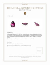 2.21 Ct. Garnet from Ceylon (Sri Lanka) Appraisal