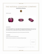 2.57 Ct. Garnet from Ceylon (Sri Lanka) Appraisal