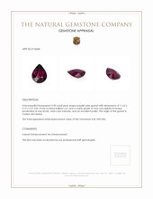 3.90 Ct. Garnet from Ceylon (Sri Lanka) Appraisal