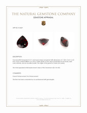 5.31 Ct. Red Garnet from Ceylon (Sri Lanka) Appraisal