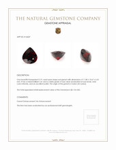 5.31 Ct. Garnet from Ceylon (Sri Lanka) Appraisal