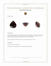 5.31 Ct. Red Garnet from Ceylon (Sri Lanka) Appraisal