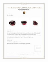 6.20 Ct. Garnet from Ceylon (Sri Lanka) Appraisal