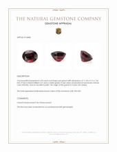 6.20 Ct. Red Garnet from Ceylon (Sri Lanka) Appraisal