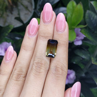 10.00 Ct. Tourmaline from Tanzania Life Style