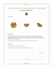 Jewelry Appraisal