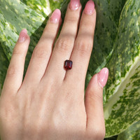 2.86 Ct. Zircon from Tanzania Life Style