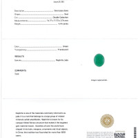 Jewelry Scan Report