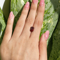 3.81 Ct. Zircon from Tanzania Life Style