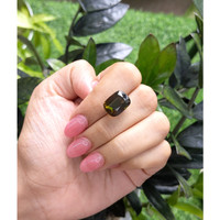 12.88 Ct. Tourmaline from Tanzania Life Style