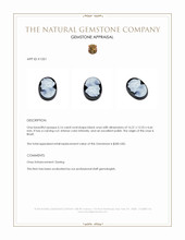 6.16 Ct. Black Onyx from Brazil Appraisal