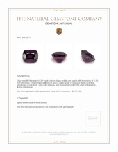 7.89 Ct. Spinel from Burma (Myanmar) Appraisal