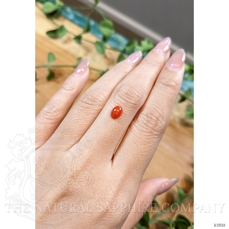 0.85 Ct. Cabochon Coral from Italy