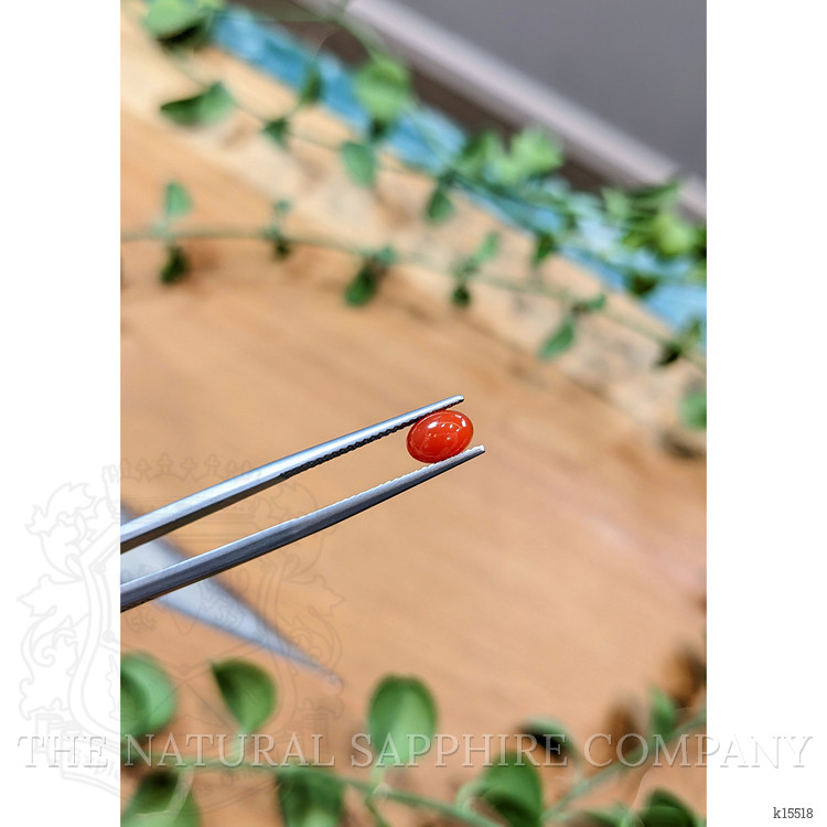 0.85 Ct. Cabochon Coral from Italy