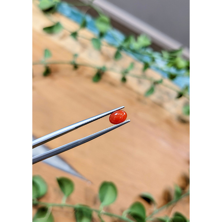 0.85 Ct. Cabochon Coral from Italy