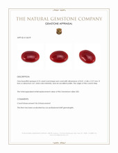 0.90 Ct. Oxblood (Red) Cabochon Coral from Italy Appraisal