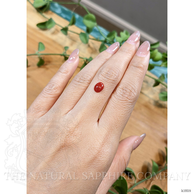 0.76 Ct. Cabochon Coral from Italy