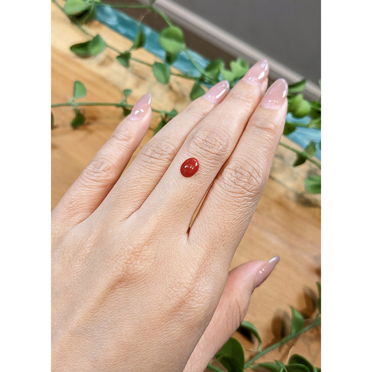 0.76 Ct. Cabochon Coral from Italy