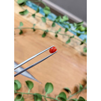 0.76 Ct. Cabochon Coral from Italy Life Style