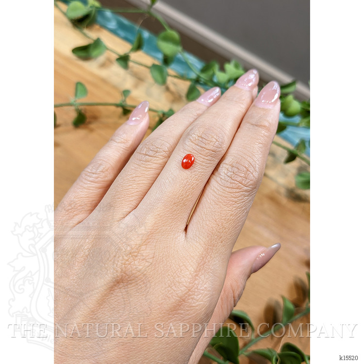 0.34 Ct. Cabochon Coral from Italy