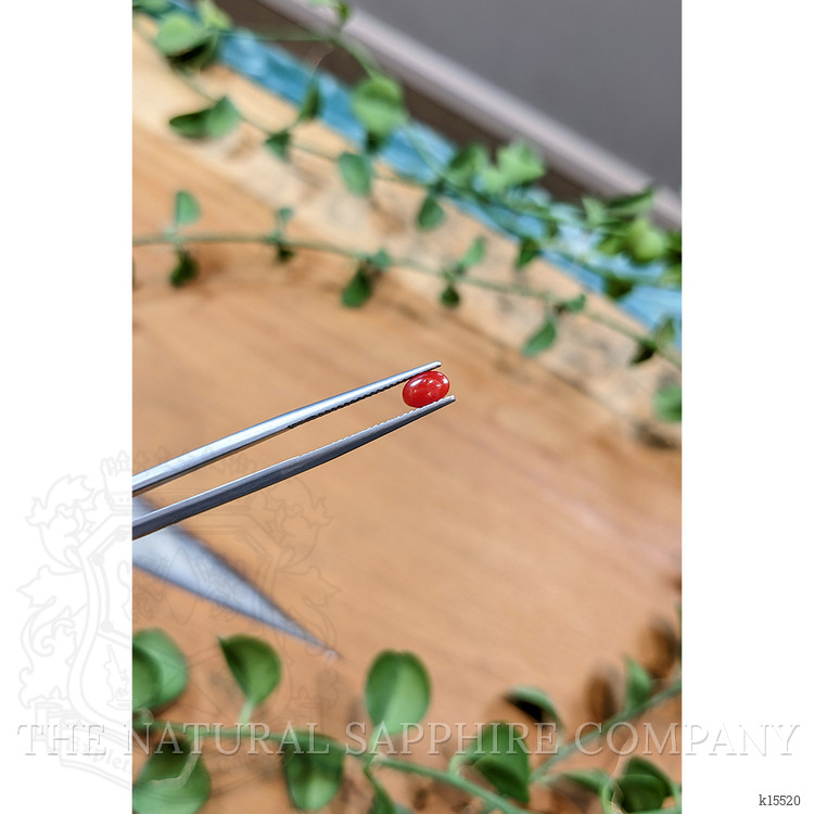 0.34 Ct. Cabochon Coral from Italy