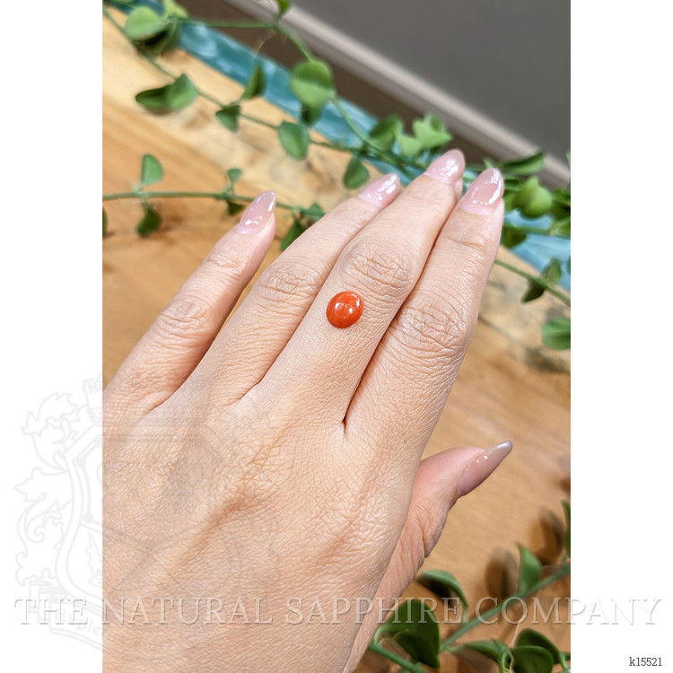 1.00 Ct. Orangish Red Cabochon Coral from Italy