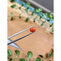 1.00 Ct. Orangish Red Cabochon Coral from Italy Life Style