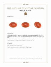 1.64 Ct. Salmon (Orange) Cabochon Coral from Italy Appraisal