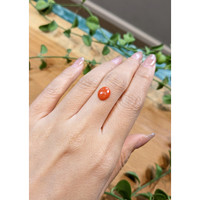 1.64 Ct. Orange Cabochon Coral from Italy Life Style