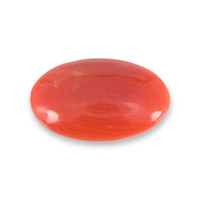 1.11 Ct. Orangish Red Cabochon Coral from Italy Video