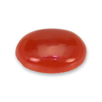 0.49 Ct. Orangish Red Cabochon Coral from Italy Video