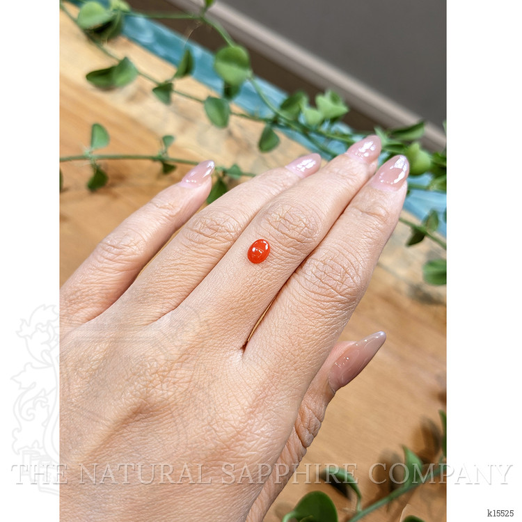 0.49 Ct. Orangish Red Cabochon Coral from Italy