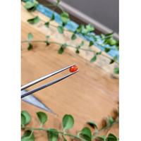 0.49 Ct. Orangish Red Cabochon Coral from Italy Life Style
