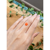 1.10 Ct. Orange Cabochon Coral from Italy Life Style